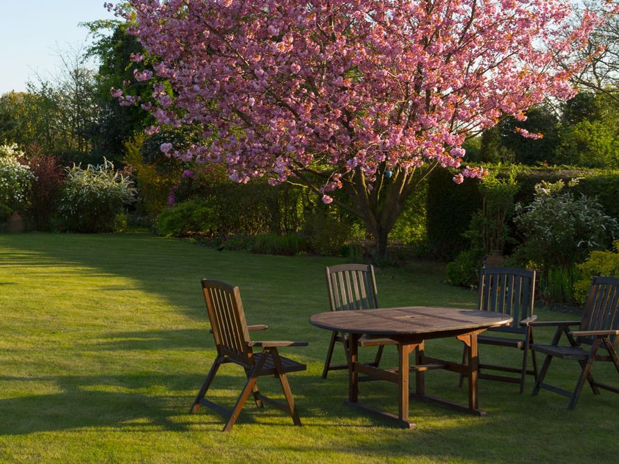 Hausgarten mit blühendem Baum und Sitzplatz