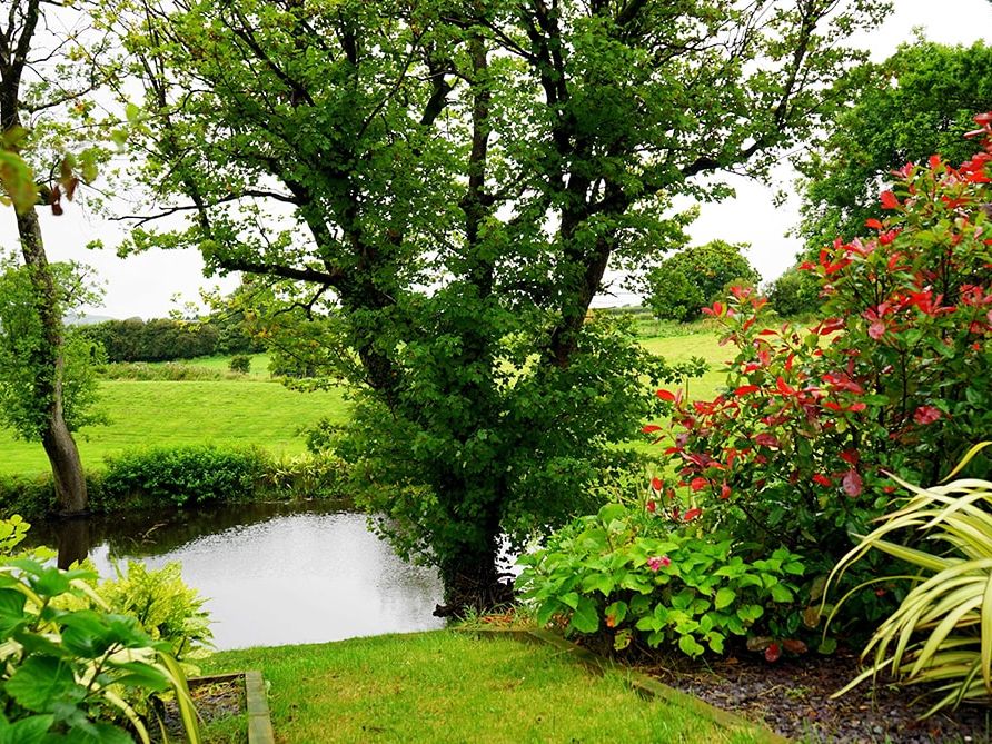 Gartenanlage mit Bachlauf und blühenden Sträuchern